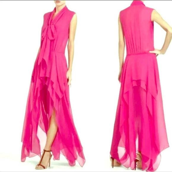 BCBG Basha Long SheerDress XS - Picture 1 of 10